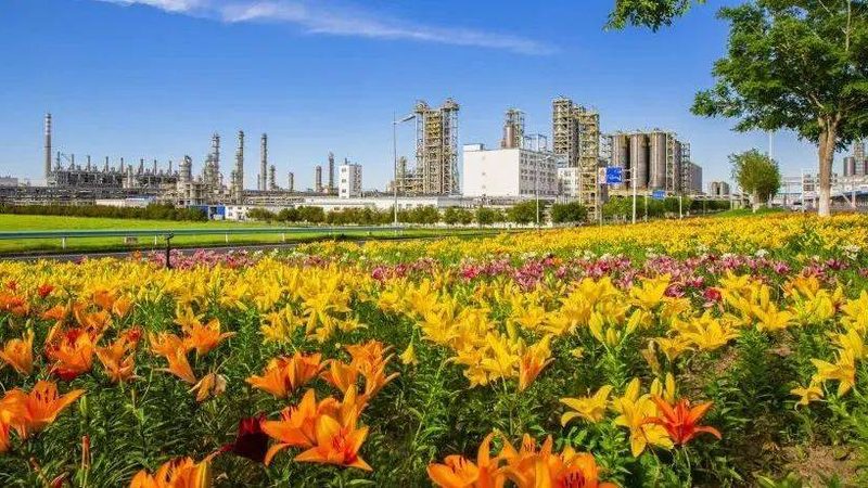 高分子材料与金属材料：揭秘厂家排名背后的真相**
